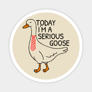 Today I’m A Serious Goose Magnet